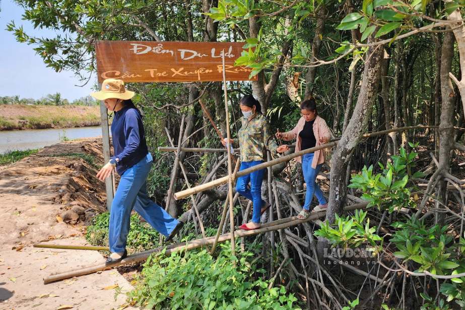 Điểm đến sinh thái bên dòng sông Hậu hoang sơ, hấp dẫn du khách. Ảnh: Tạ Quang