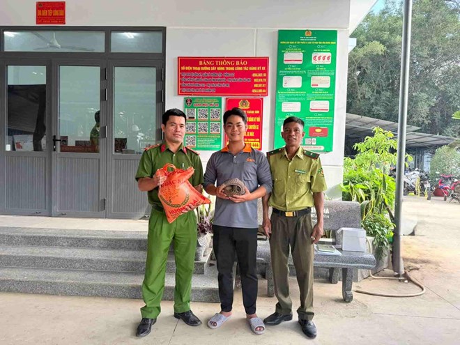 Cá thể tê tê mắc lưới trong rẫy được người dân giao nộp kiểm lâm