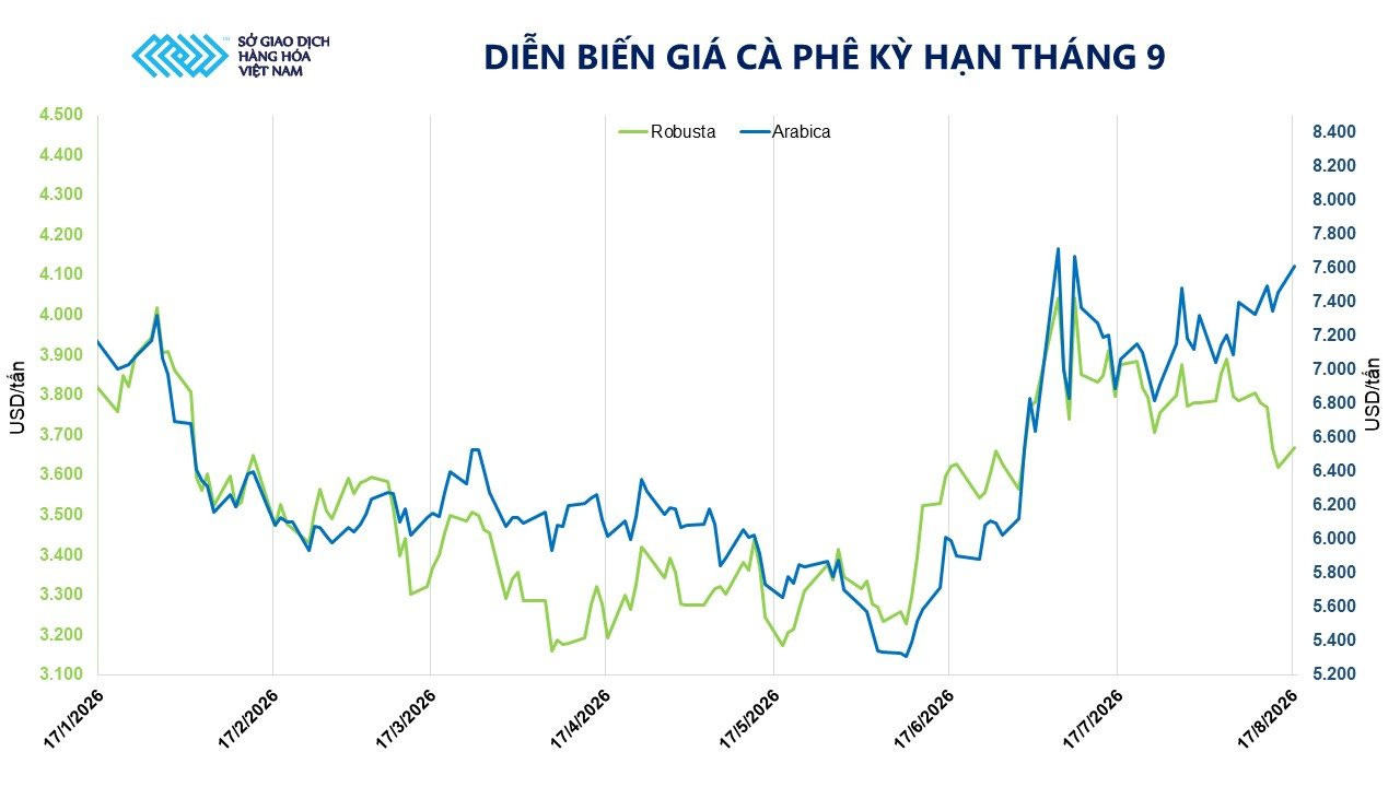 anh-7_-dien-bien-gia-ca-phe-ky-han-thang-9.jpg