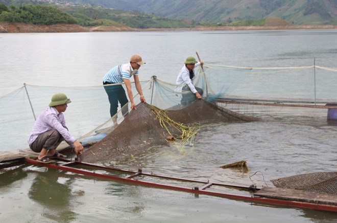 Lai Châu bước vào cao điểm bảo vệ nguồn lợi thủy sản