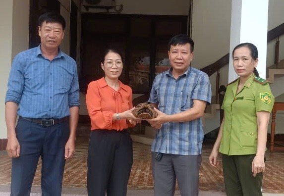 Tiếp nhận 3 cá thể động vật hoang dã để cứu hộ
