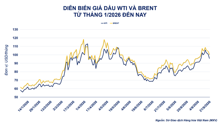 Diễn biến giá dầu thô.