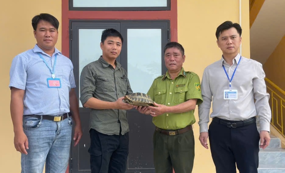 Tiếp nhận động vật hoang dã về trung tâm. Ảnh: Trung tâm Cứu hộ, Bảo tồn và Phát triển sinh vật cung cấp ngày 22.9