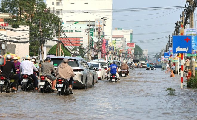 Triều cường dâng cao, người dân ở Cần Thơ tất bật gia cố bờ bao