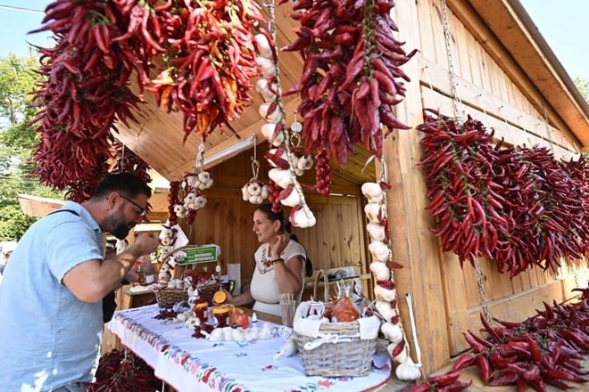 Ớt làm paprika ngày càng vắng bóng trên đồng ruộng Hungary