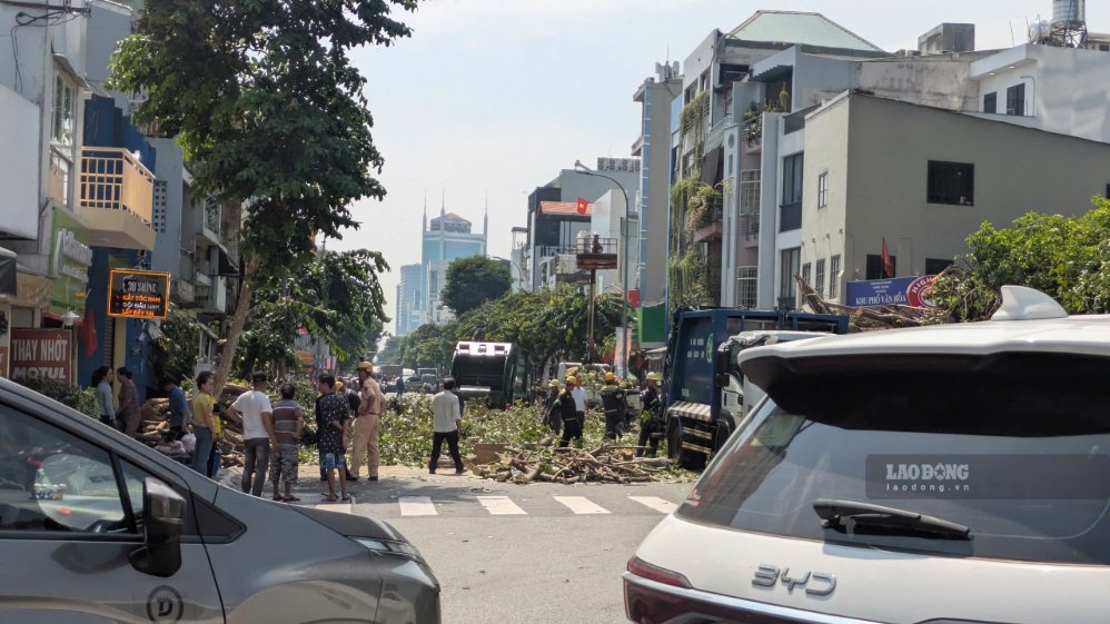 Rào chắn được bố trí từ xa để phục vụ công tác cắt, thu dọn cây ngã và bảo đảm an toàn. Ảnh: Thái Bảo
