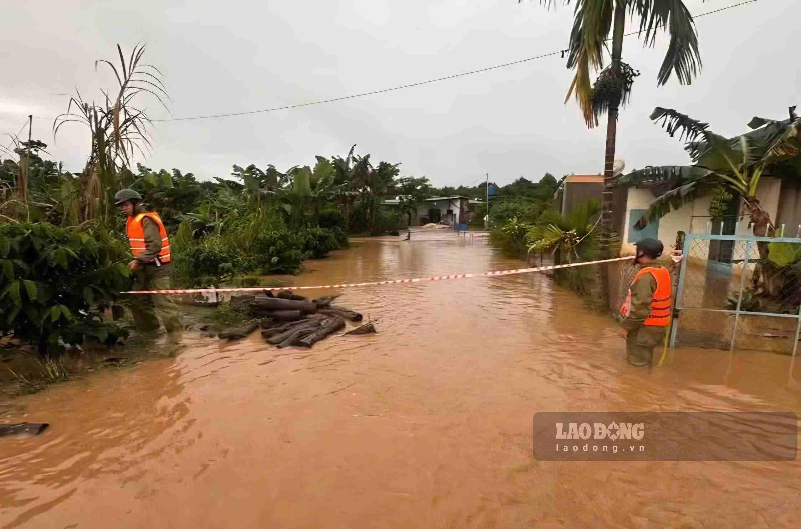 Mưa lớn vào đêm ngày 3 đến sáng 4.10 khiến hơn 40 hộ dân tại 2 thôn Lộc Đức 8 và Lộc Đức 9 (xã Bảo Lâm 2) phải di dời. Ảnh: Phúc Khánh