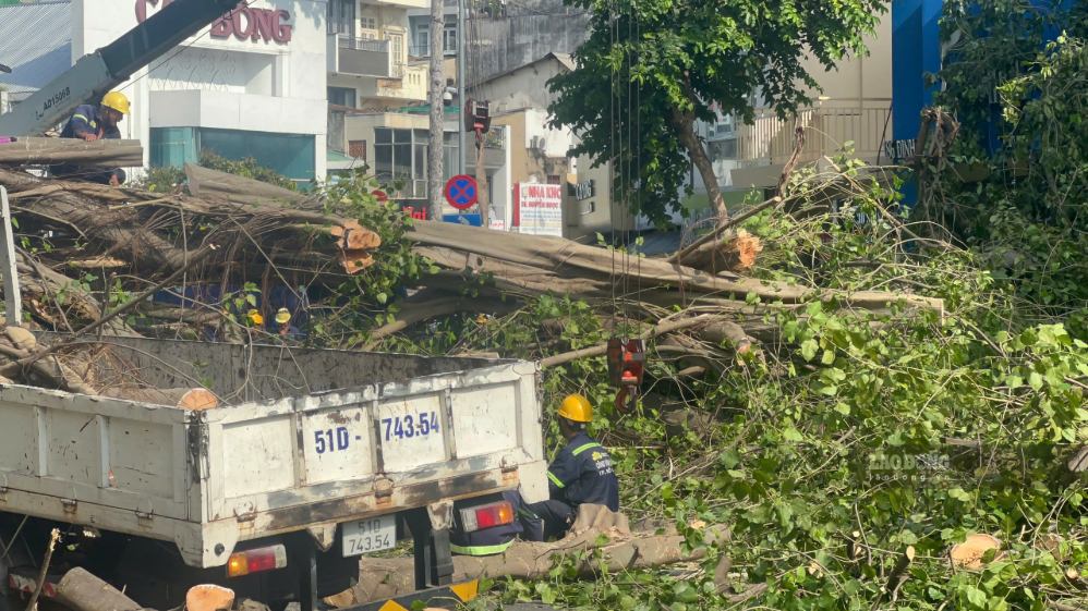 Công nhân tiến hành cắt nhỏ thân và cành cây để từng bước giải phóng mặt đường. Ảnh: Thái Bảo
