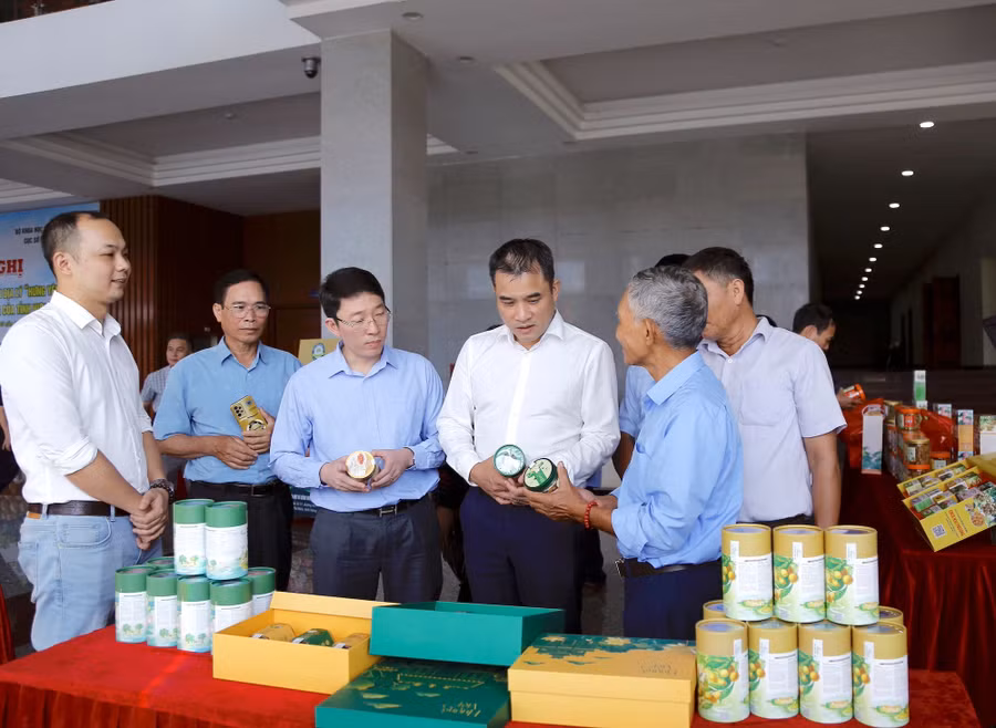 Ông Phạm Bảo Sơn, Phó Chủ tịch UBND tỉnh Hưng Yên tham quan gian hàng giới thiệu các sản phẩm chế biến từ nhãn lồng. Ảnh: Đinh Chiến b3a9350.jpg