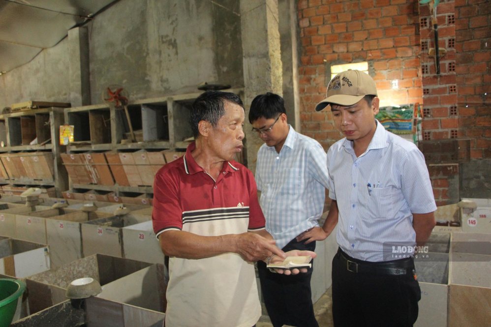 Các hộ nuôi dúi  đã phát huy hiệu quả việc đa dạng hóa sinh kế ở khu vực nông thôn. Ảnh: Hữu Long