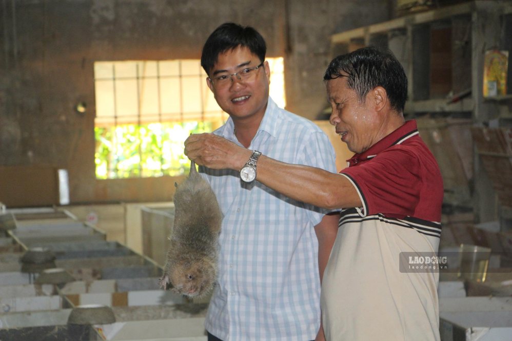 Thực tế từ các hộ nuôi dúi, nuôi chồn cho thấy tiềm năng đa dạng hóa sinh kế ở khu vực nông thôn.