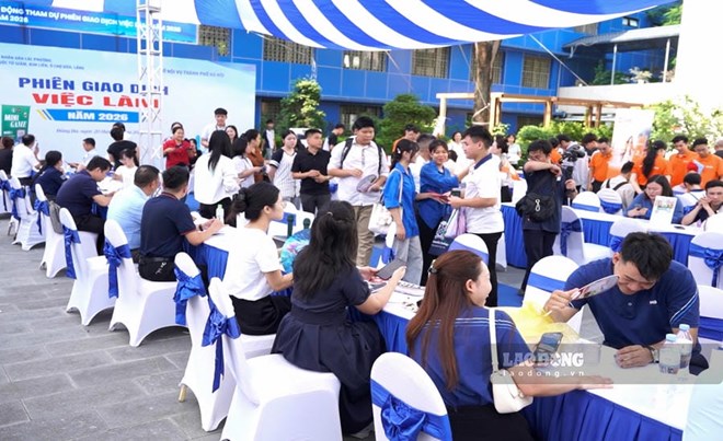 Hà Nội tuyển dụng sôi động, cảnh báo bẫy việc nhẹ lương cao