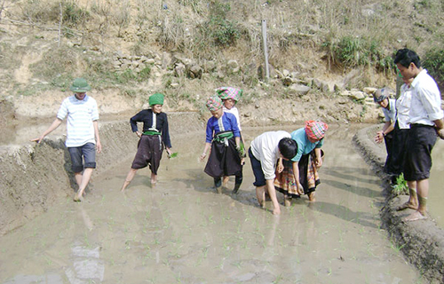 xuong dong ngay xuan tren reo cao hinh anh 1